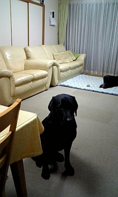 080301_223238.jpg