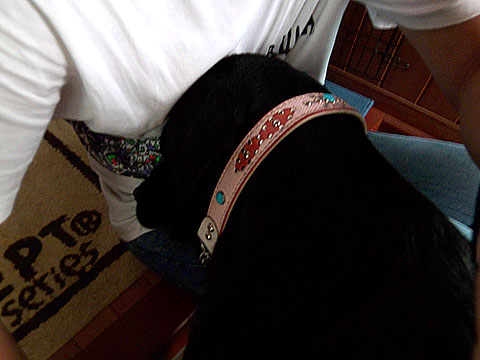 070625_001.jpg