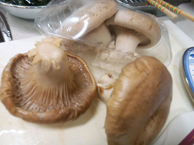 070925_013.jpg